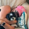 cindyheitman
